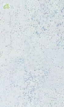 Замковый пробковый пол CorkArt, Lite, CK3 209w WC (900 х 300 х 10 мм) упак. 1,89м2