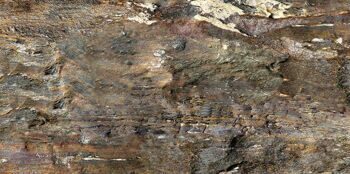 Клеевой пробковый пол Corkstyle, FANTASY & STONE, Fossil (915х305х6мм) уп.3,36 м2